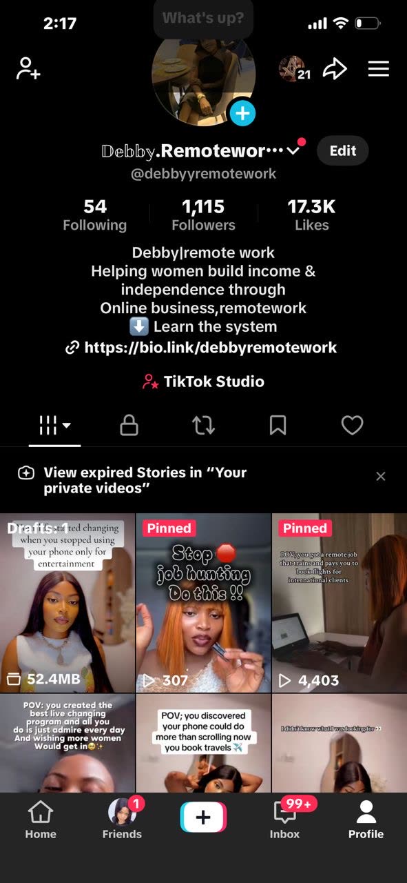 Debby Remote Work TikTok profile with 1,115 followers and 17.3K likes