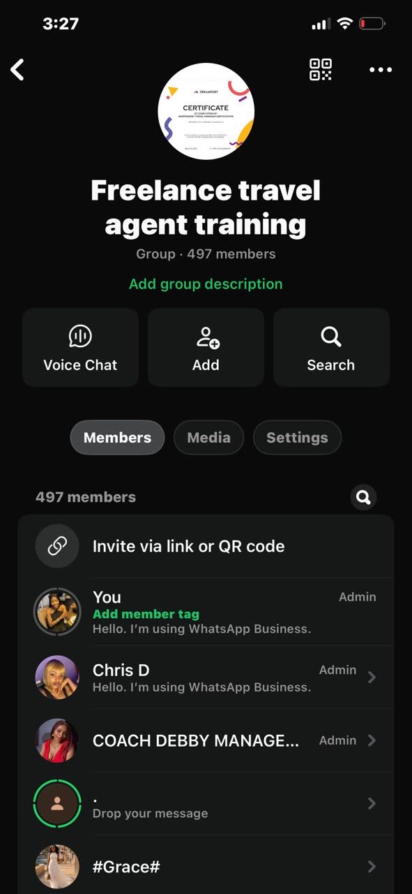 Freelance Travel Agent Training WhatsApp community with 497 members
